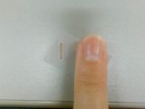 splinter 8-20-08