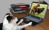 funpics-gbpic-4